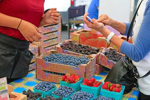 7 Best Farmers Markets in West Virginia!